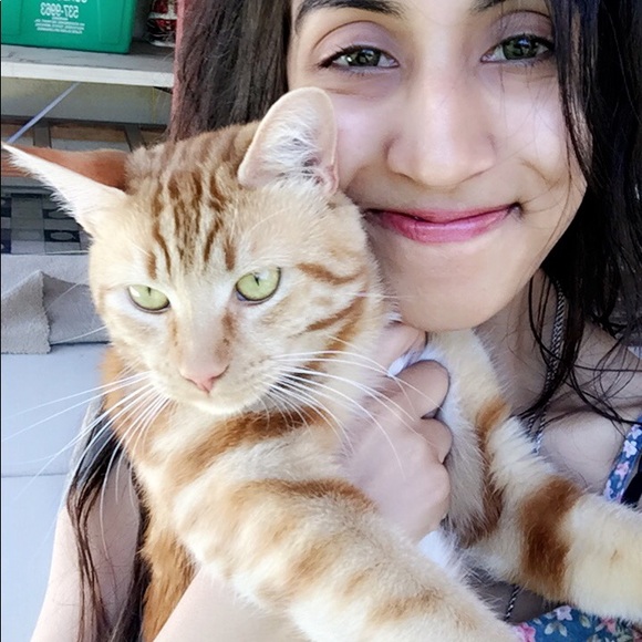 Meet your Posher, Priscilla - Picture 2 of 2